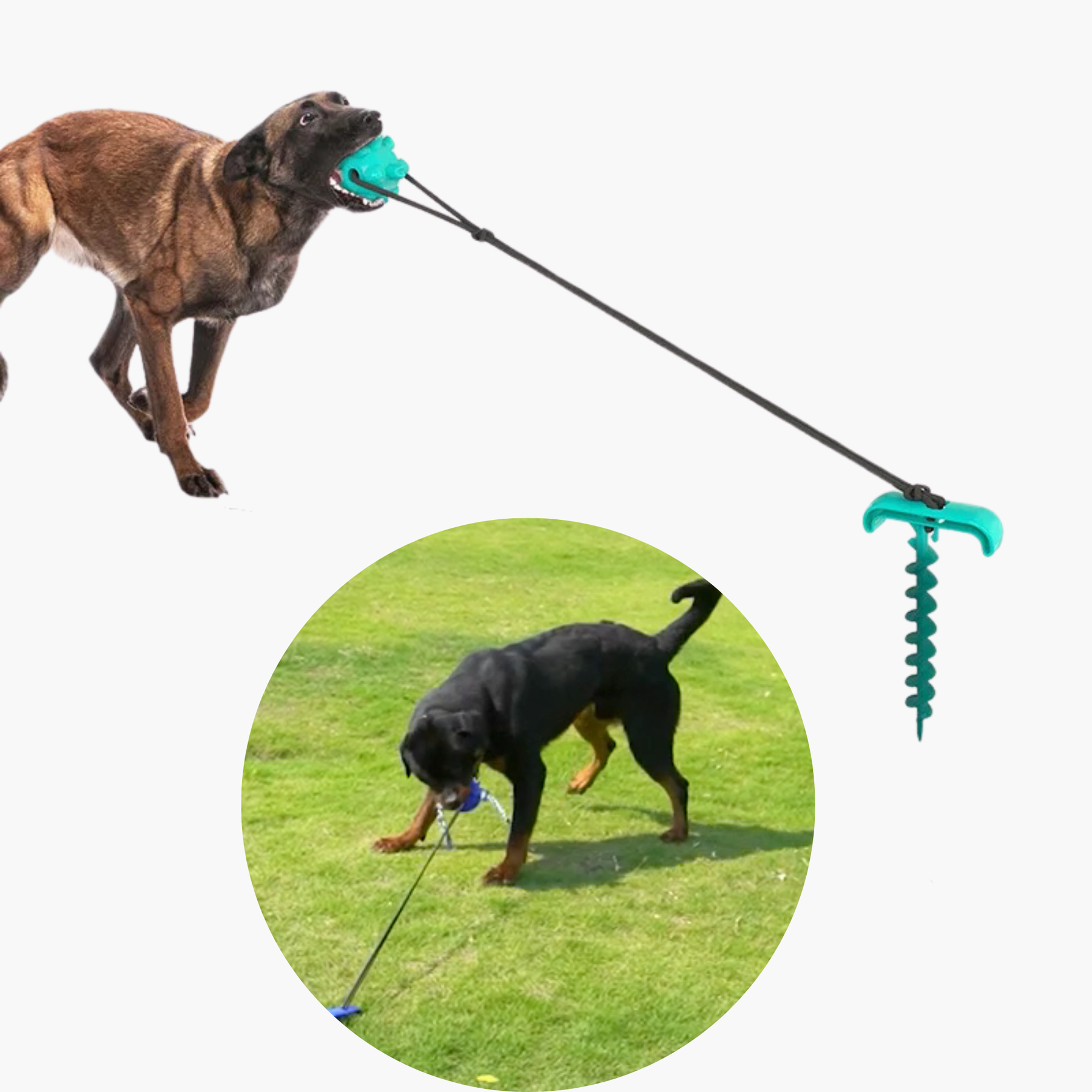 PupActive PlaySet - Voor Honden van Alle Groottes en Rassen