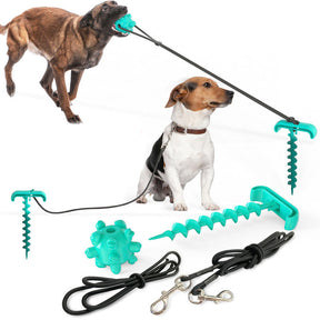 PupActive PlaySet - Voor Honden van Alle Groottes en Rassen