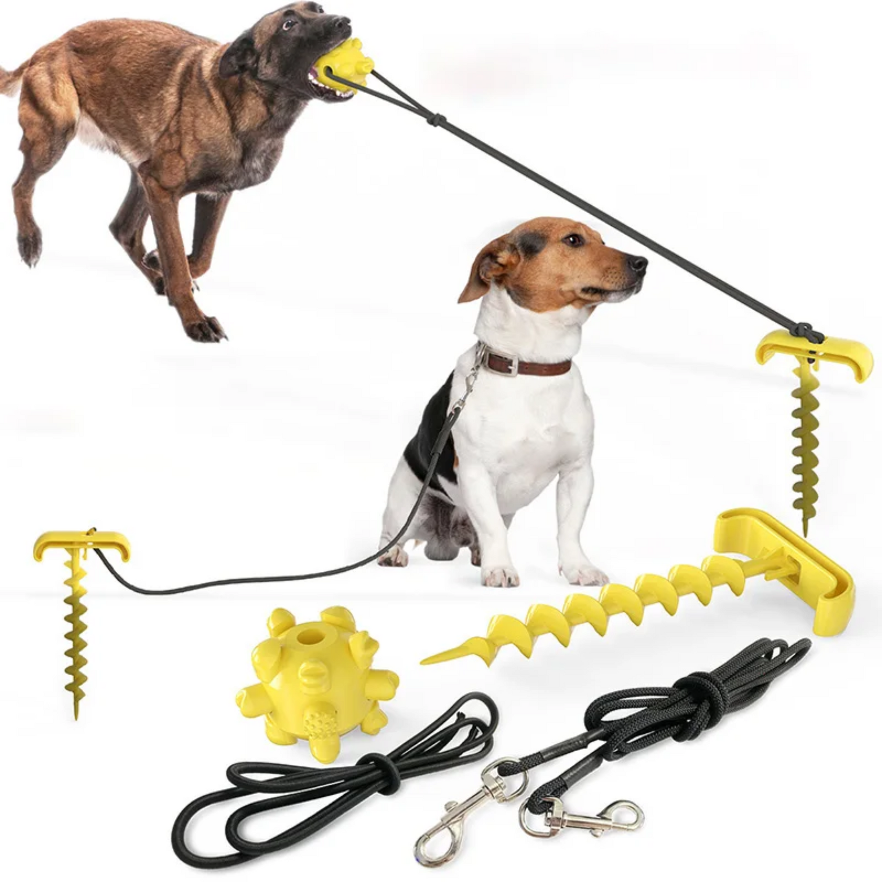 PupActive PlaySet - Voor Honden van Alle Groottes en Rassen