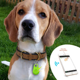 PetTracker™ - Bluetooth en GPS Huisdier Draadloze Tracker