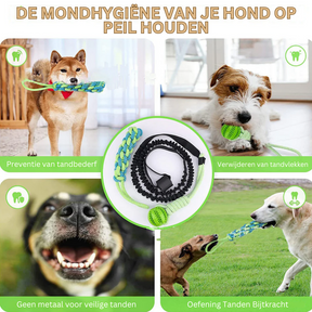 PlayBite™ - Biedt uren speelplezier en beweging voor je hond