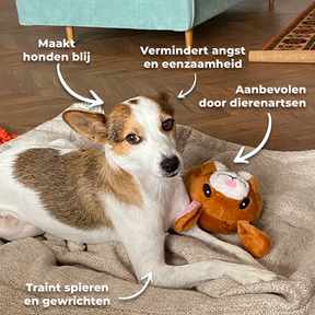 BouncyPaw™ - Stuiterend Interactief Hondenpeeltje